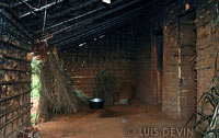 Internal environment of a Baka Pygmy mud hut