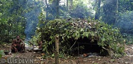 Baka Pygmy temporary house
