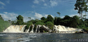 Rainforest waterfall