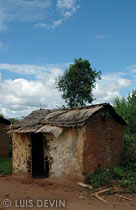 Bedzan Pygmy hut