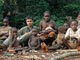 Children of the forest (Baka Pygmies, Cameroon)