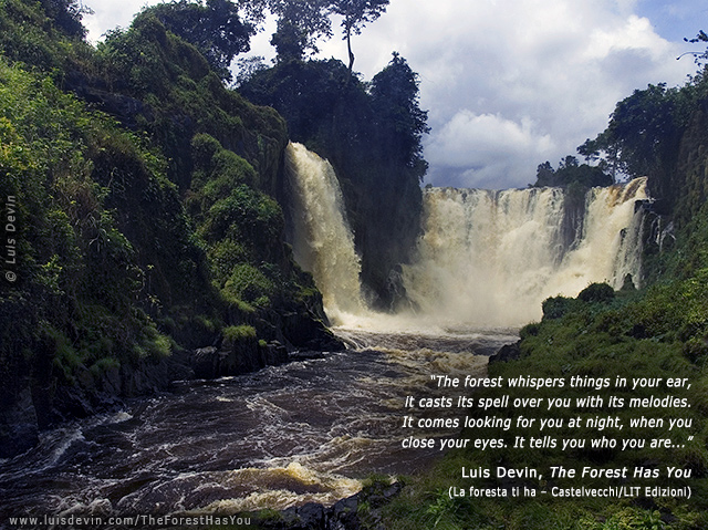 Rainforest waterfall, from Luis Devin's anthropological research in Central Africa (Gabon)