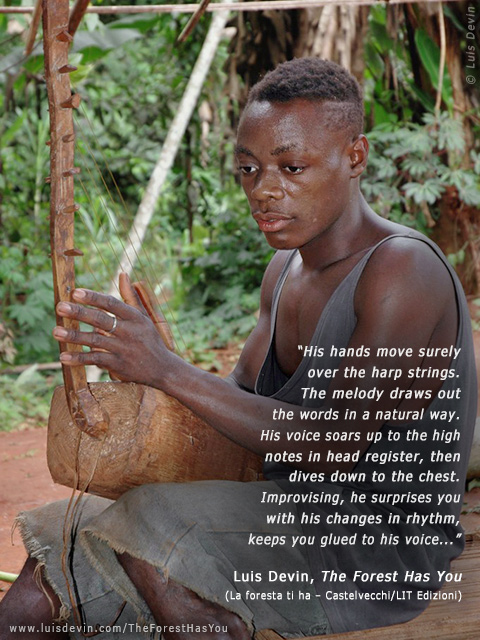 Pygmy harp, from Luis Devin's anthropological research in Central Africa (Baka Pygmies, Cameroon)
