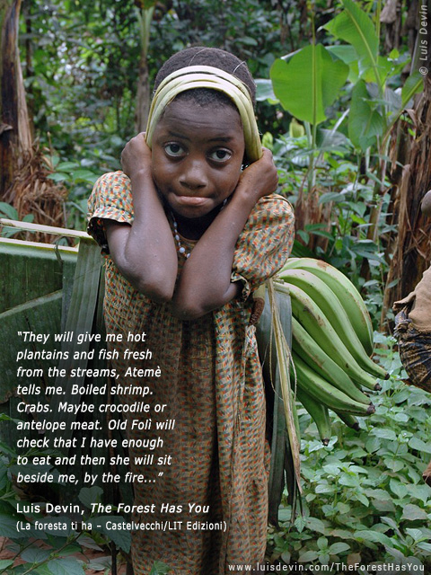 Plantains gathering, from Luis Devin's anthropological research in Central Africa (Baka Pygmies, Cameroon)