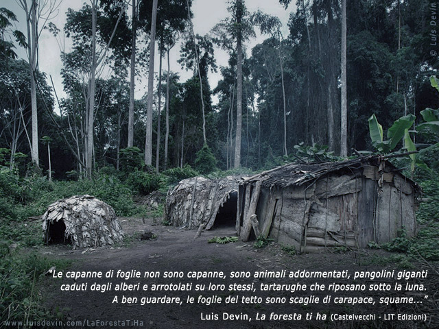 Forest huts, from Luis Devin's anthropological research in Central Africa (Baka Pygmies, Cameroon)