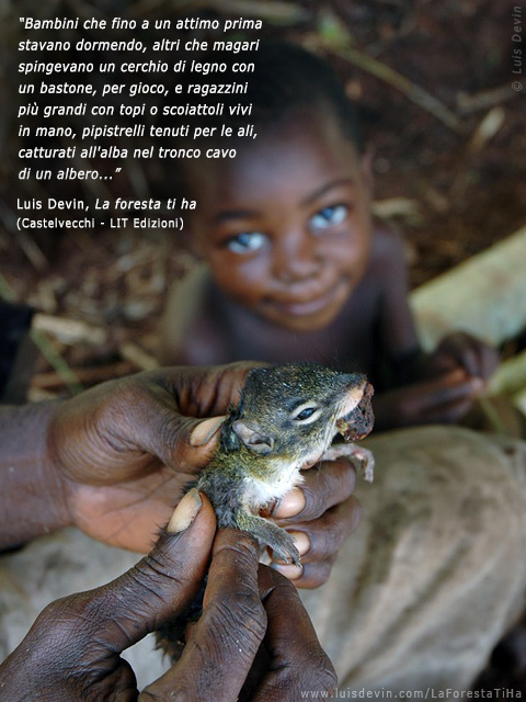 Caught squirrel, from Luis Devin's anthropological research in Central Africa (Baka Pygmies, Cameroon)