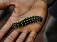 African caterpillar (Baka Pygmies, Cameroon)