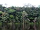 Rainforest river (Cameroon)