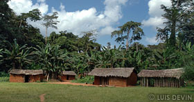 Bangandu huts made by mud bricks