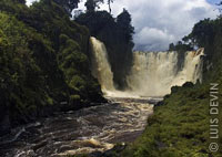 Kongou waterfalls in the tropical rain forest of Gabon