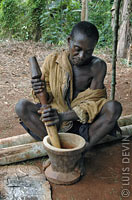 Pygmy traditional medicine