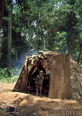 Traditional hut in a forest camp