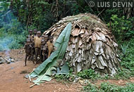 Hemispheric hut of the Baka Pygmies