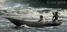 Pirogue in a Cameroonian river
