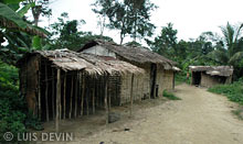 Bakola pygmy village along a rainforest river