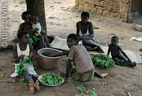 Bedzan-Tika Pygmy women cooking manioc leaves