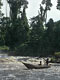 African pirogue (Cameroon)