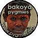 Index of the section about Bakoya Pygmies