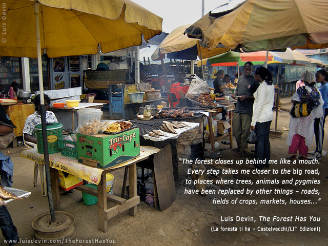 African market, from Luis Devin's anthropological research in Central Africa (Gabon)