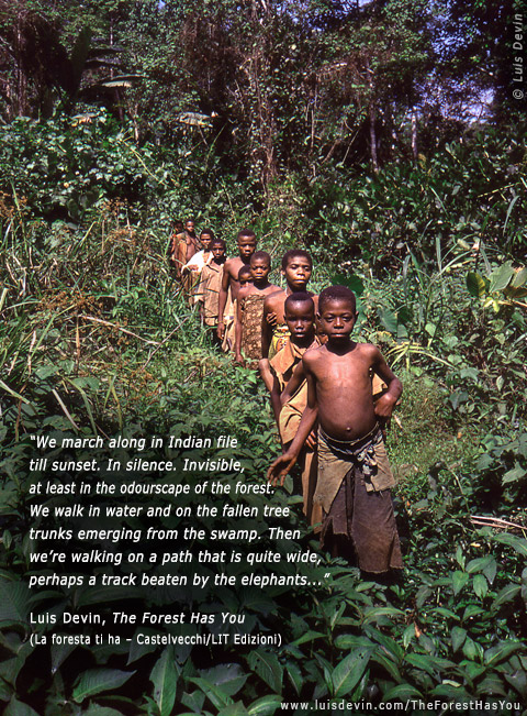 Hunter gatherers, from Luis Devin's anthropological research in Central Africa (Baka Pygmies, Cameroon)