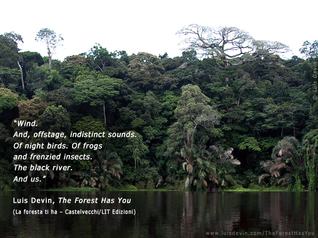 Rainforest river, from Luis Devin's anthropological research in Central Africa (Cameroon)