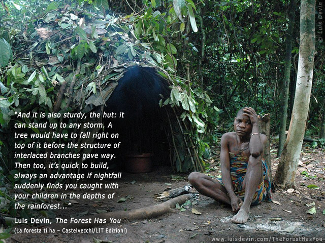 Leave hut, from Luis Devin's anthropological research in Central Africa (Baka Pygmies, Cameroon)