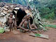 Food preparation (Baka Pygmies, Cameroon)